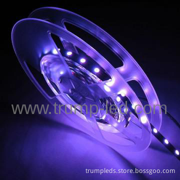 [hot] christmas led  with CR&ROHS